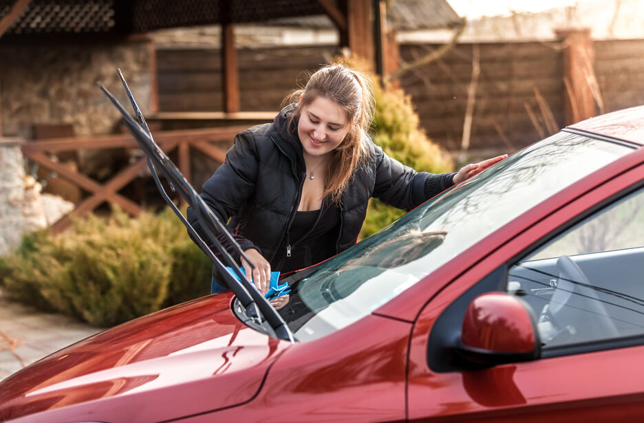 woman using bug remover for car